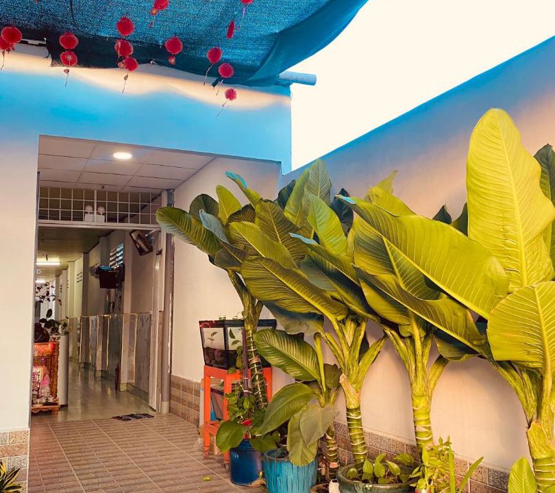 Photo of Patio Balcony in Ben Tre