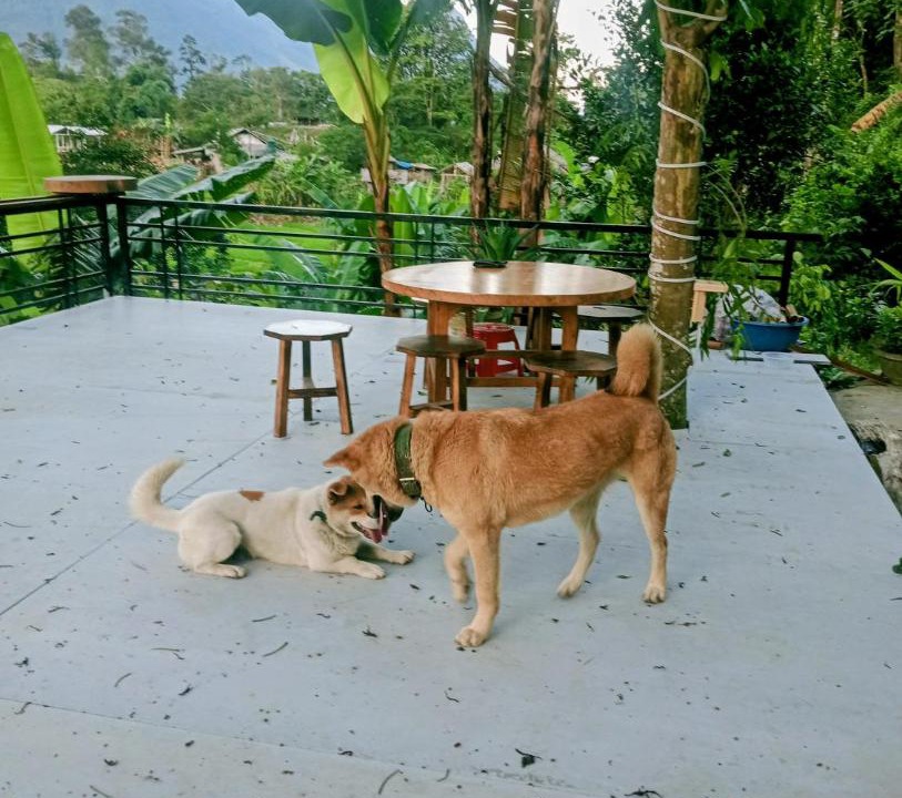 Photo of Others in Sa Pa