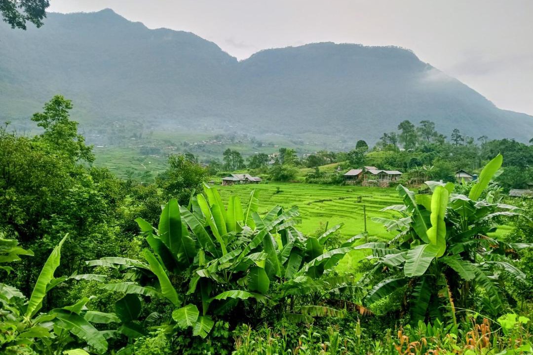 Photo of Others in Sa Pa