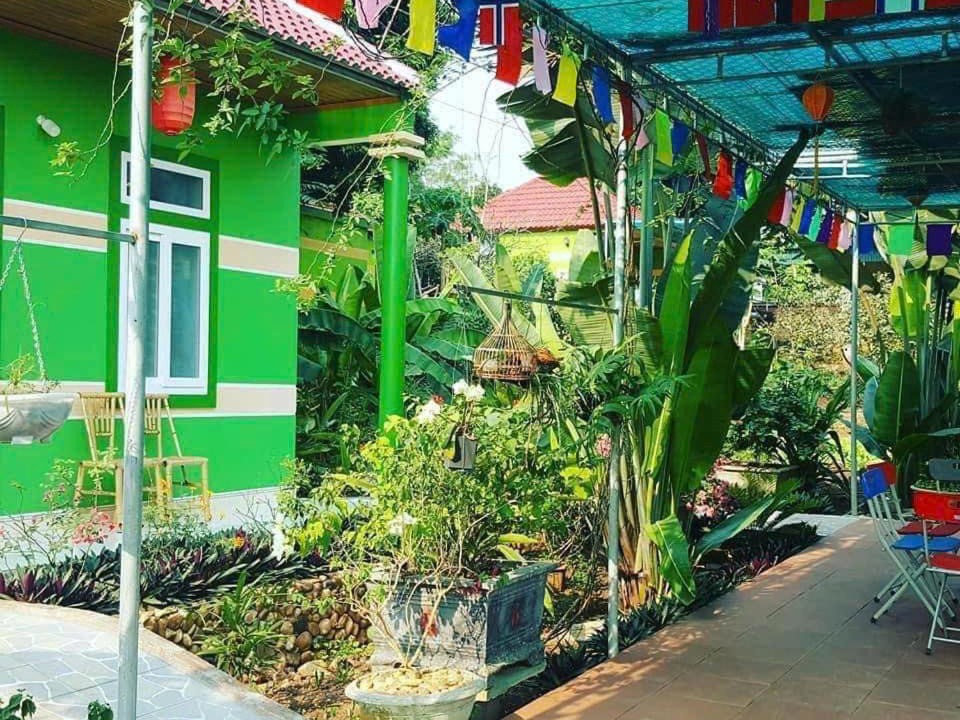 Photo of Others in Thai Hoa