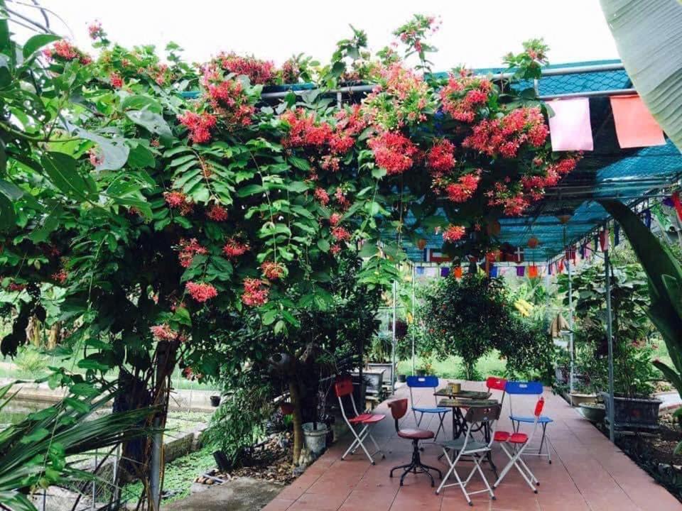 Photo of Others in Thai Hoa