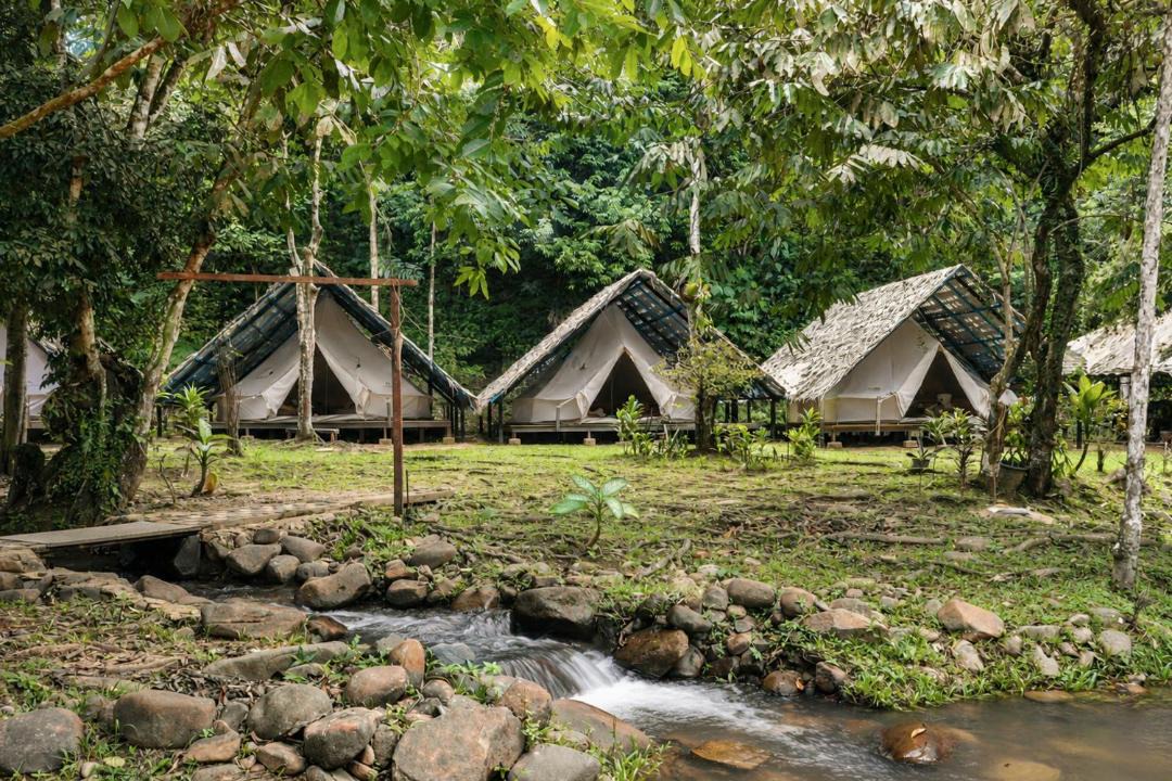 Photo of Others in Janda Baik