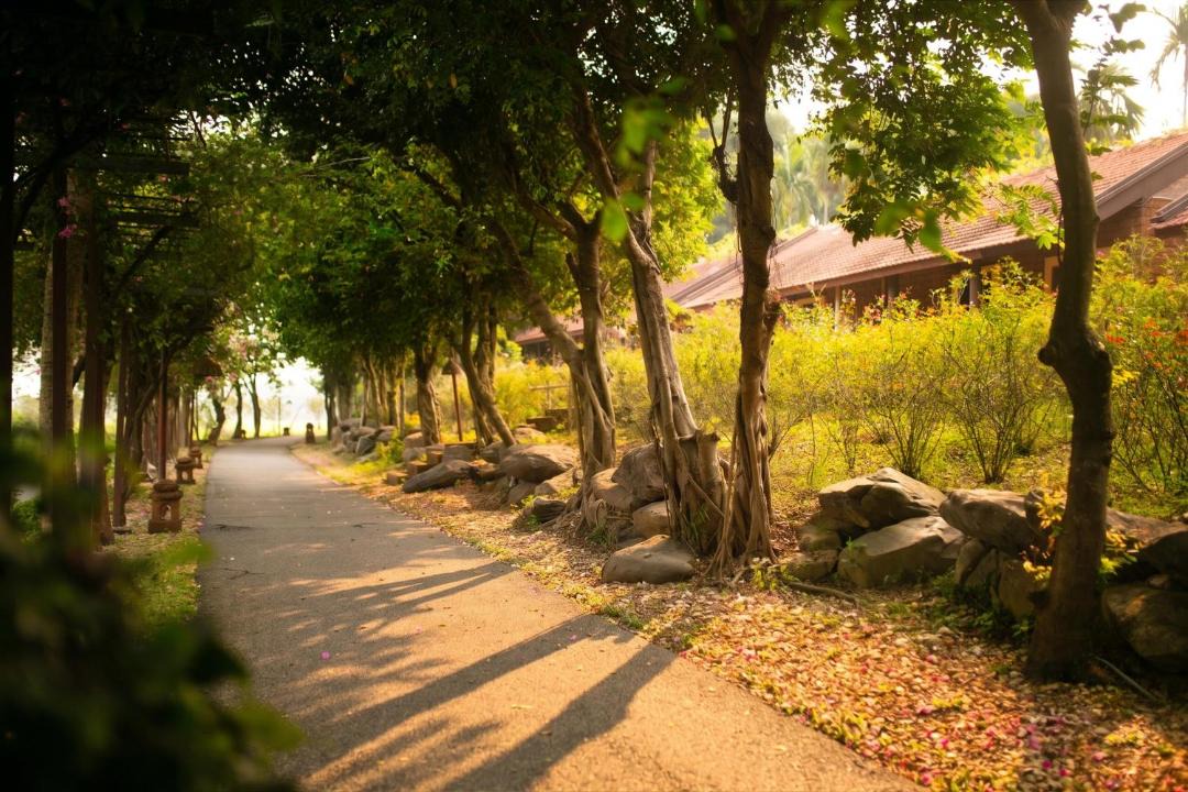Photo of Others in Son Tay