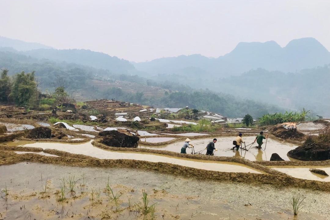 Photo of Others in Pu Long Nature Reserve