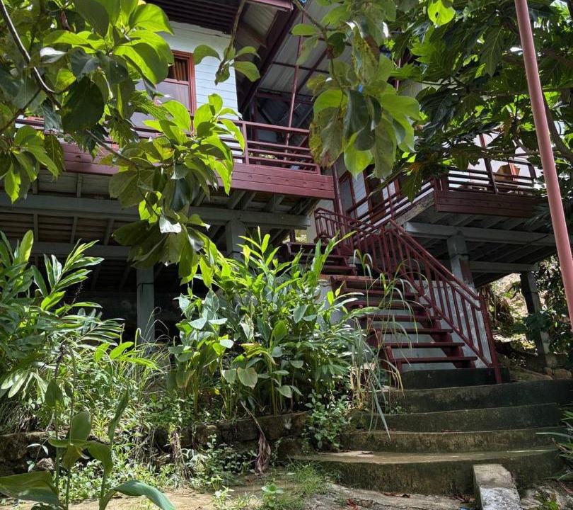Photo of Others in Koh Rong