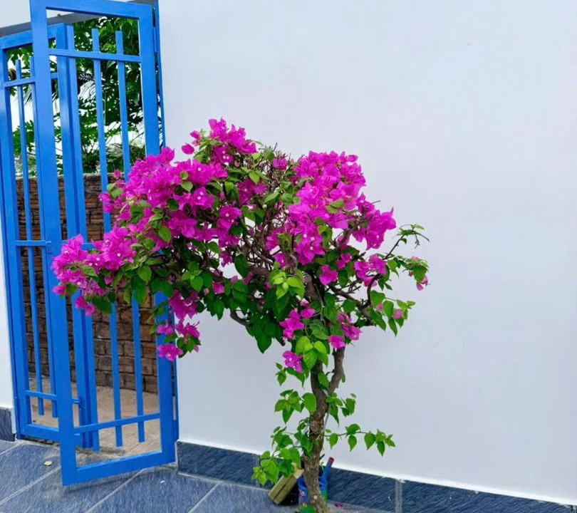 Photo of Others in Tu Nghia