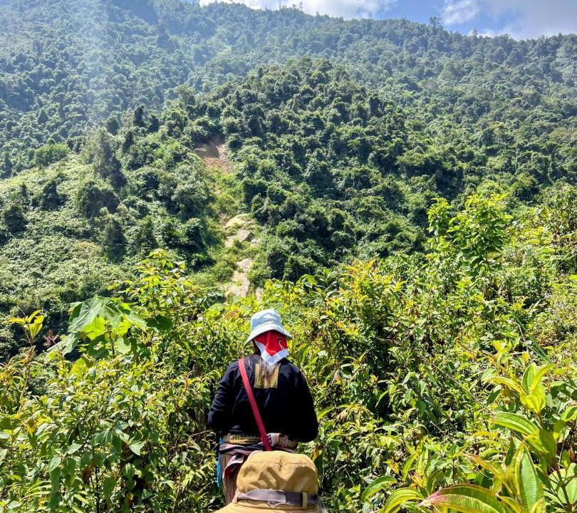 Photo of Others in Sa Pa