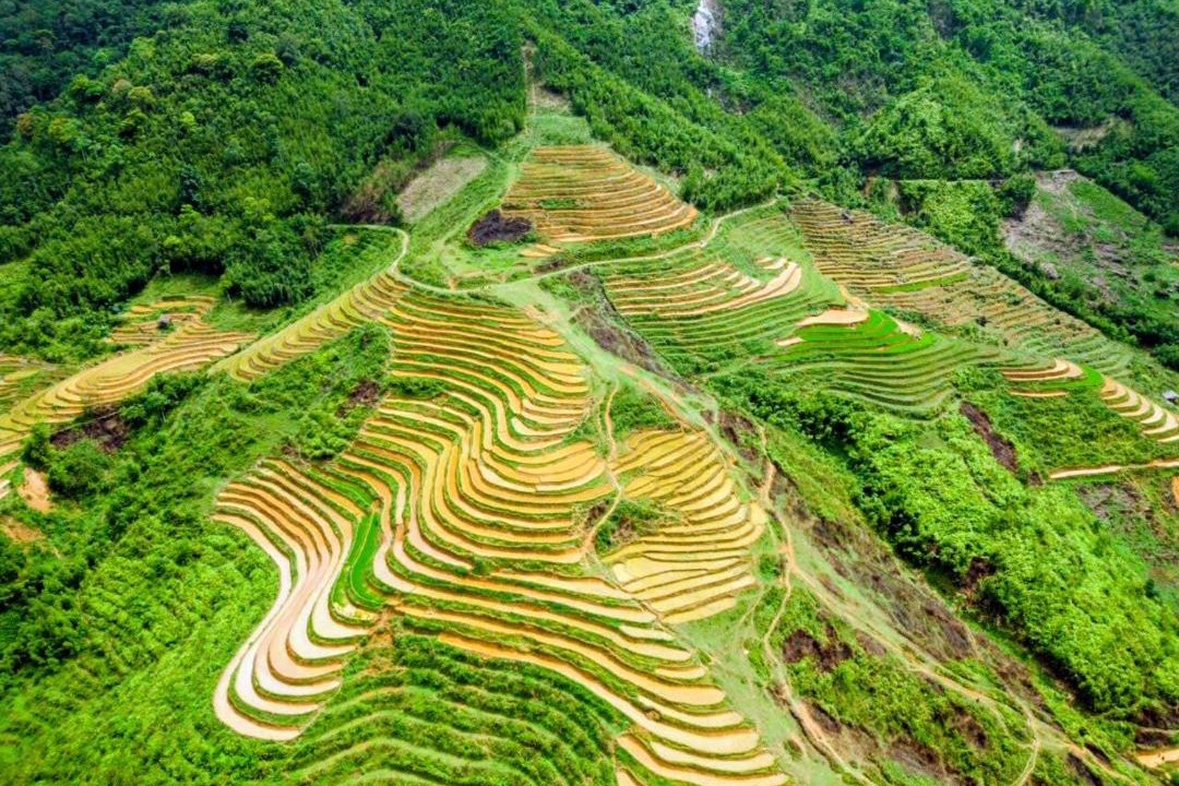 Photo of Others in Sa Pa