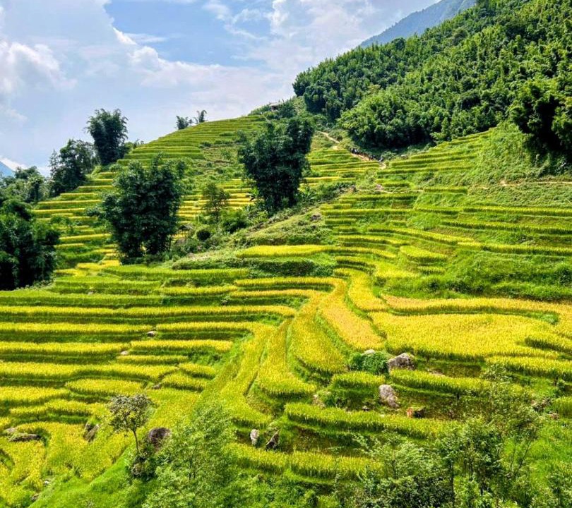 Photo of Others in Sa Pa
