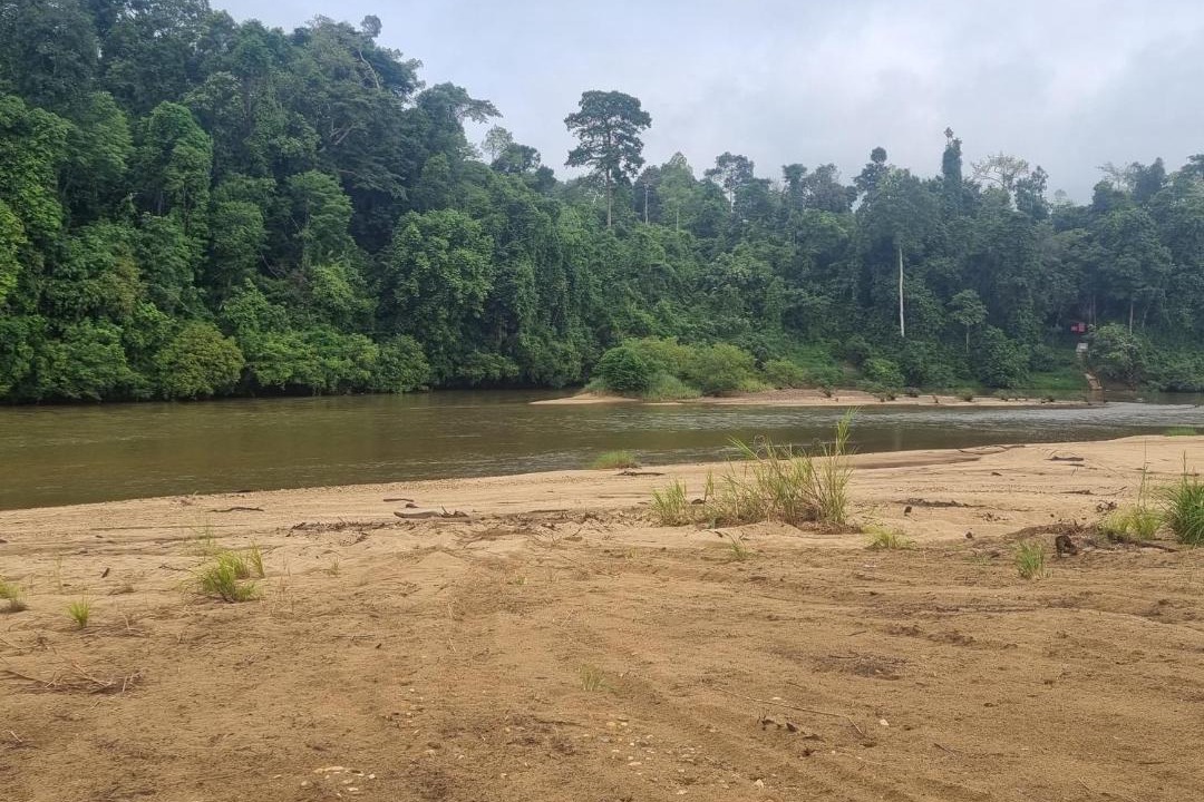 Photo of Others in Kuala Tahan
