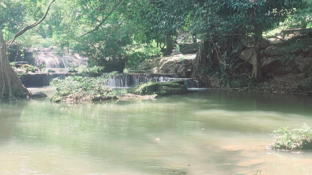 Photo of Others in Pong Ta Long
