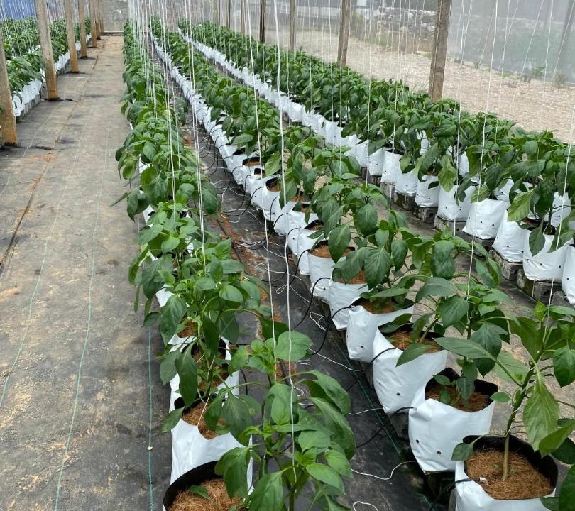 Photo of Outdoor in Sa Pa