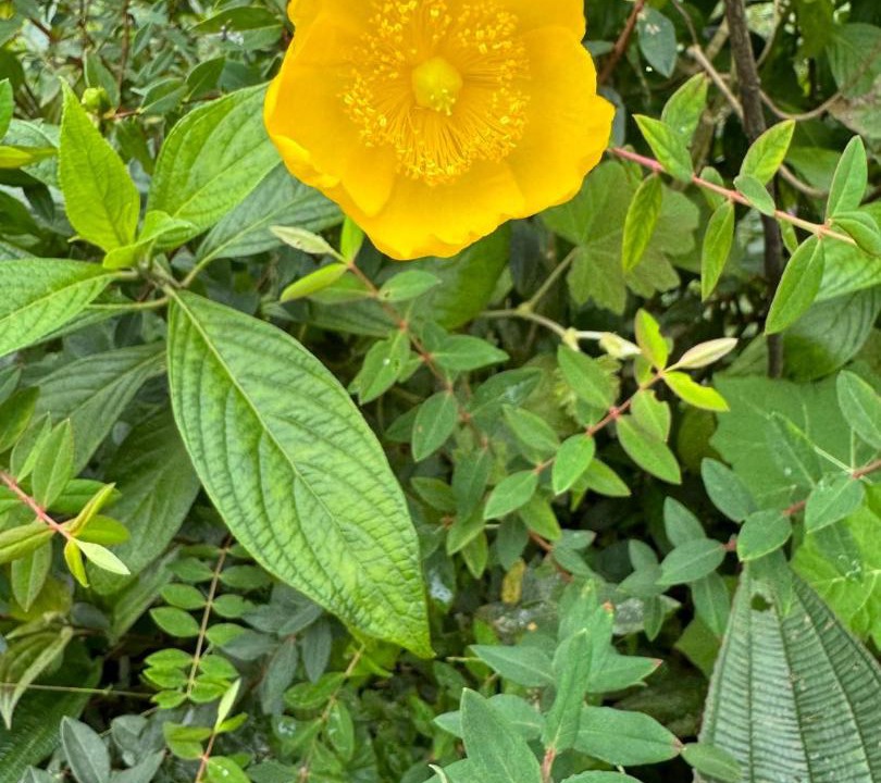 Photo of Outdoor in Sa Pa