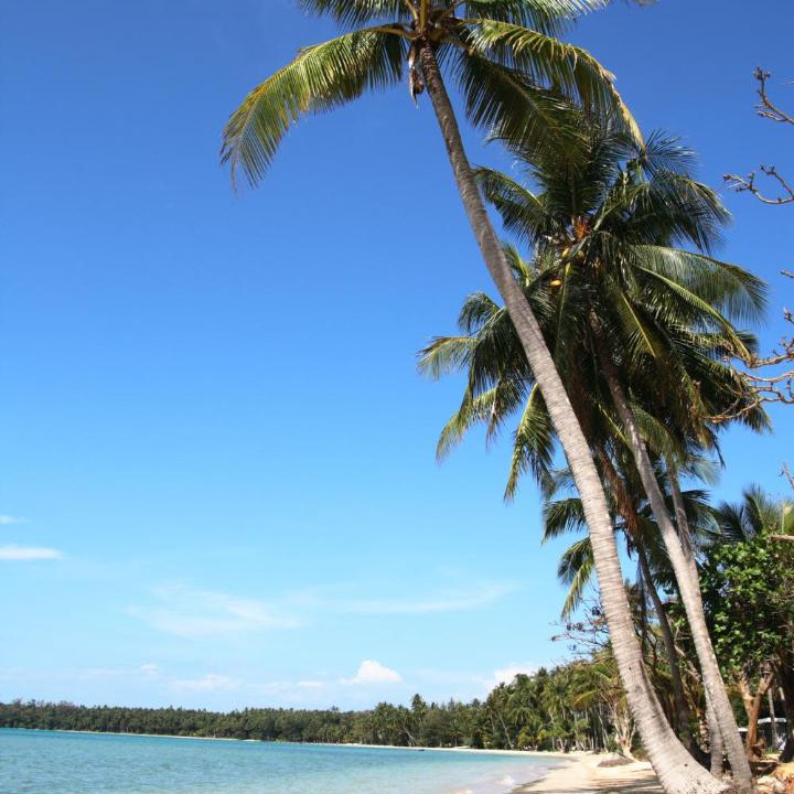 Photo of Others in Ko Mak