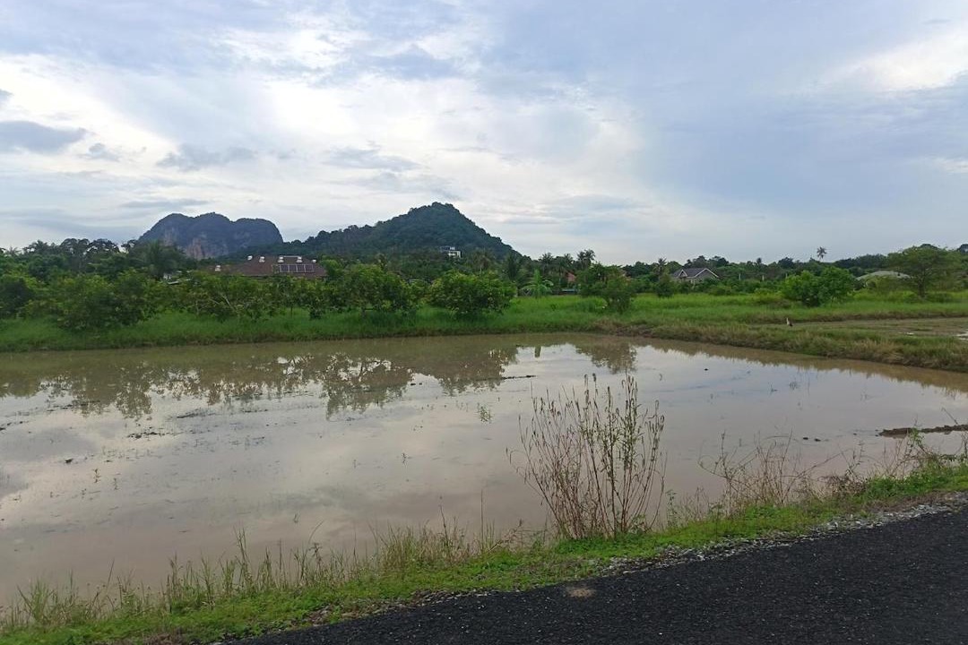 Photo of Others in Arau