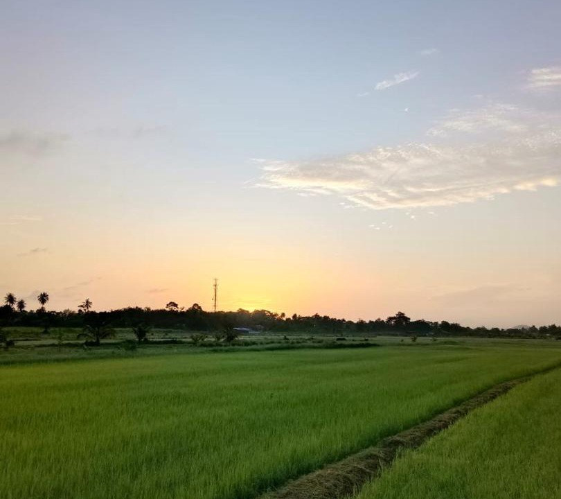 Photo of Others in Arau