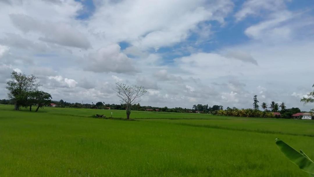Photo of Others in Arau