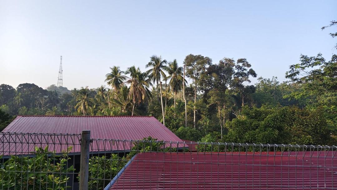 Photo of Others in Gemencheh