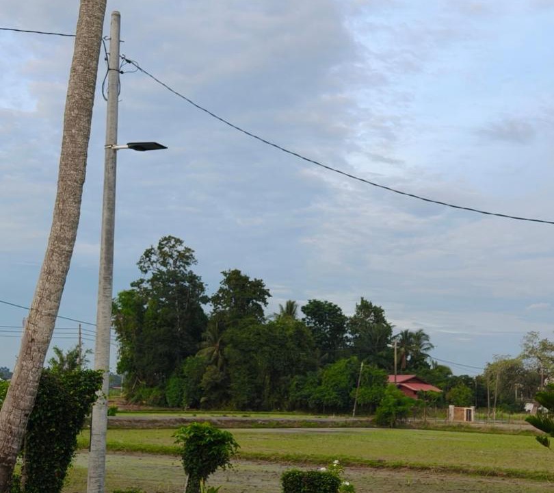 Photo of Others in Ngulang