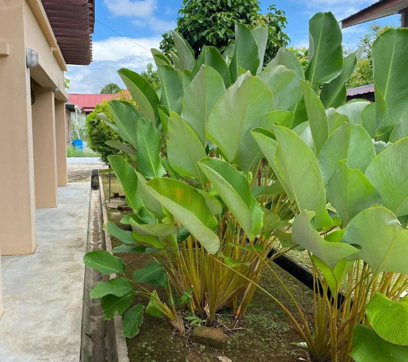 Photo of Others in Kampong No.6