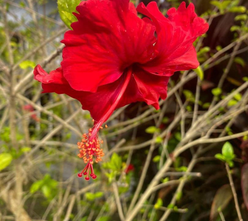 Photo of Outdoor in Kampong No.6