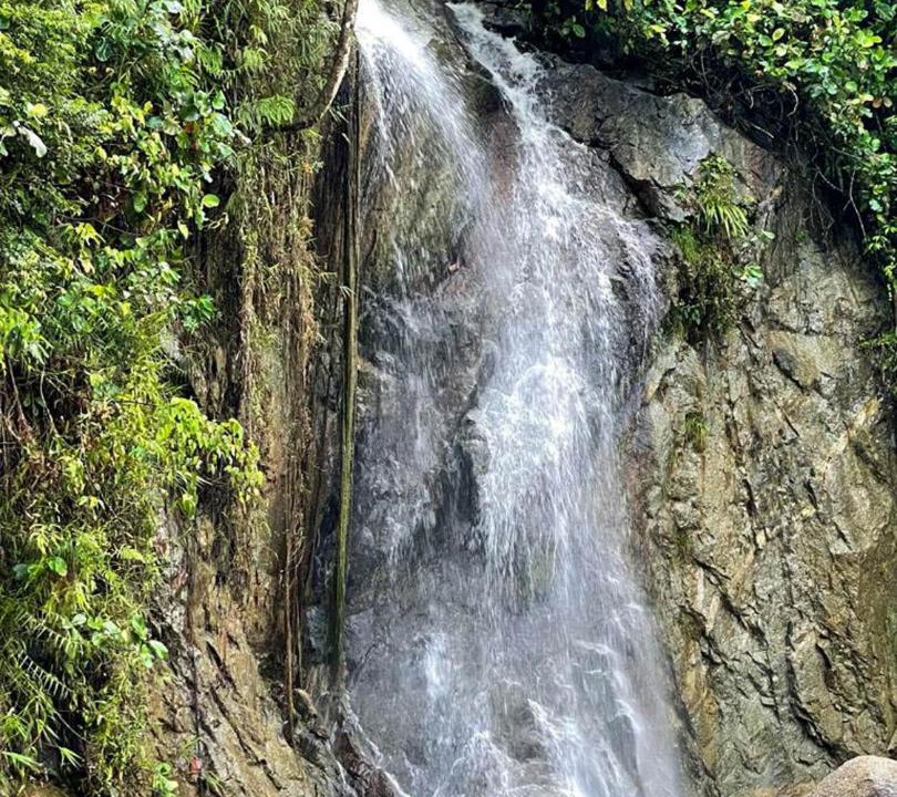 Photo of Others in Larut