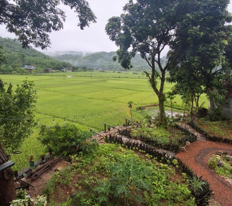 Photo of Others in Mai Chau