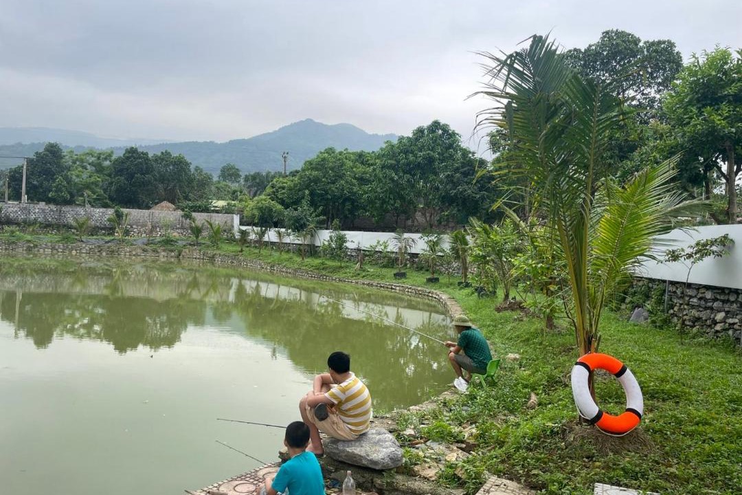 Photo of Others in Luong Son
