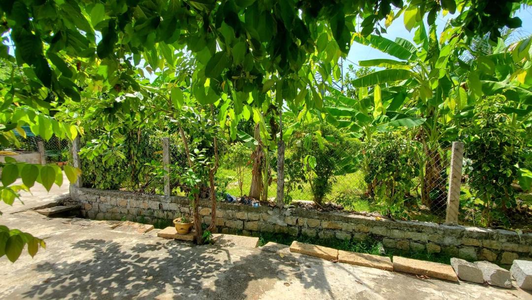 Photo of Others in Quy Nhon