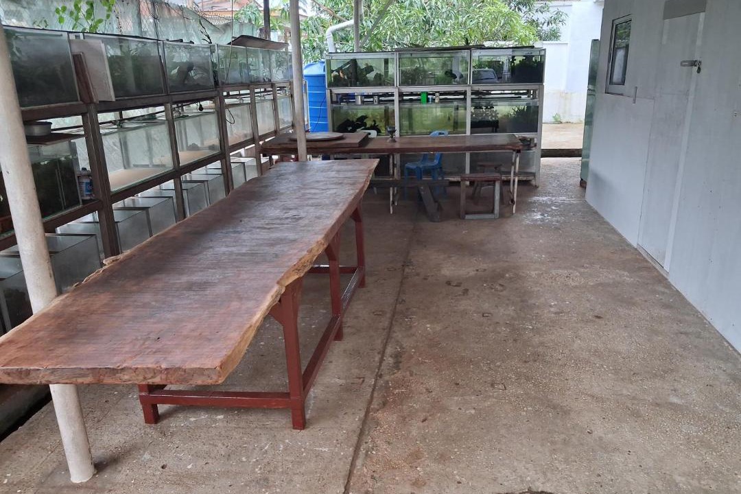 Photo of Others in Sandakan