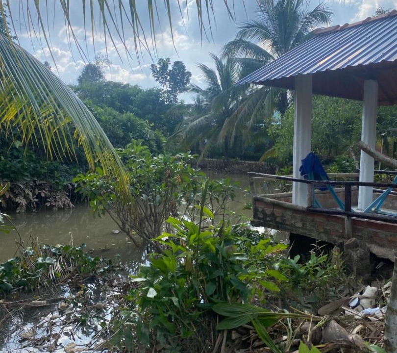 Photo of Others in Long Ho