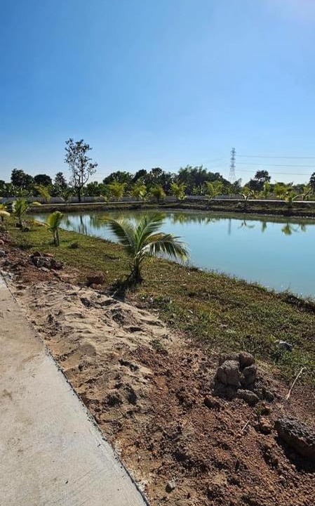 Photo of Others in Nong Chaeng