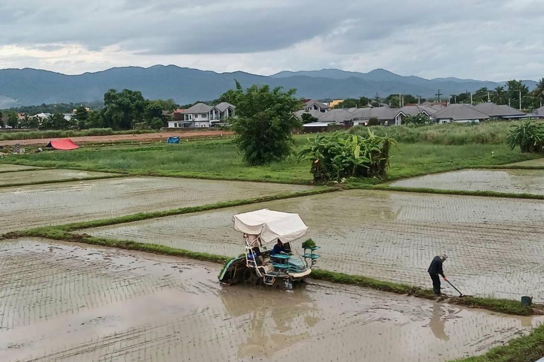 Photo of Others in Chiang Rai