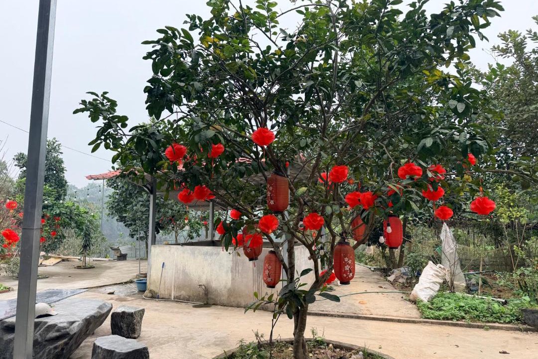 Photo of Others in Tran Yen