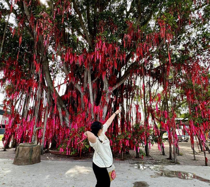 Photo of Outdoor in Selangor