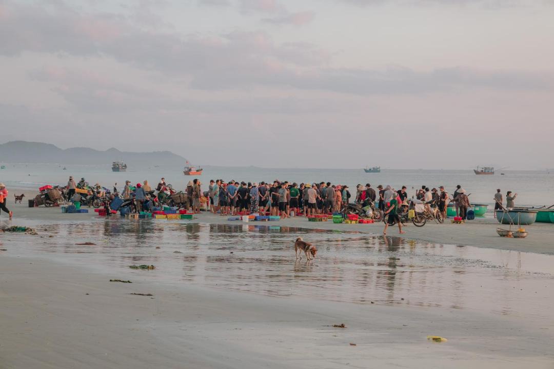 Photo of Human In Picture in Ninh Hoa