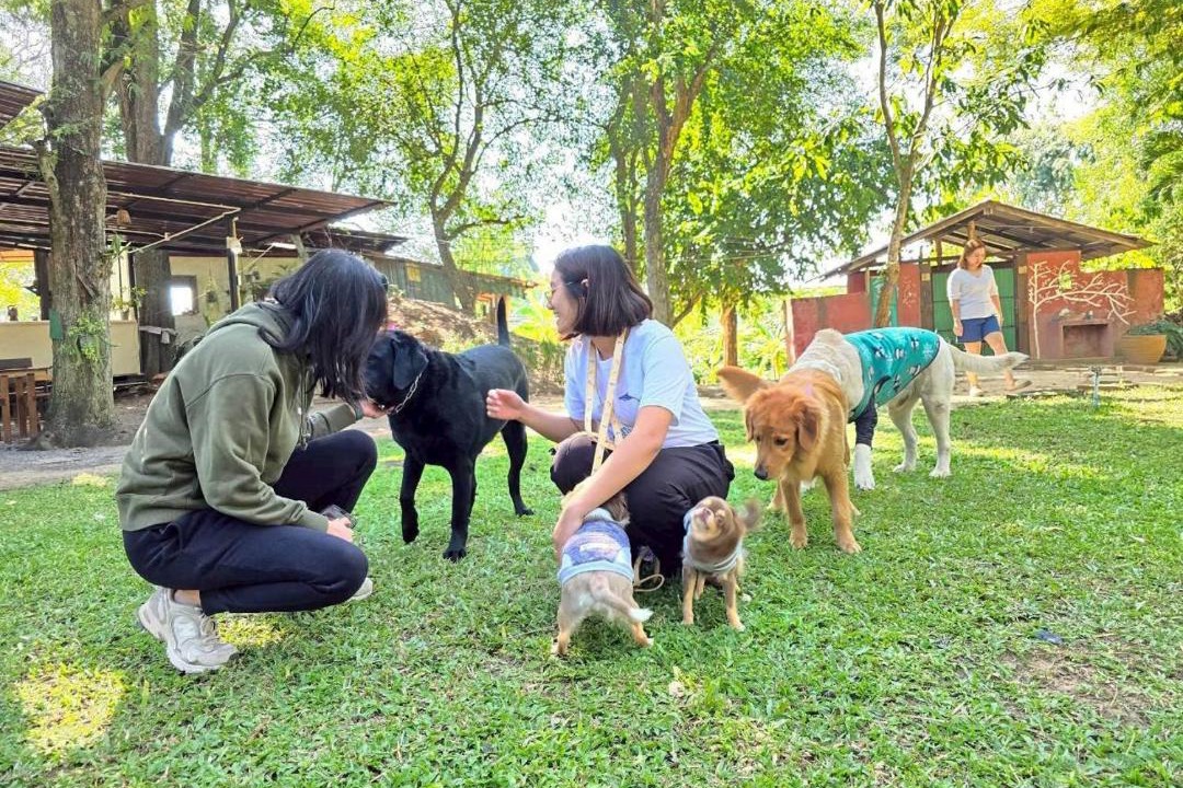 Photo of Others in Khanong Phra
