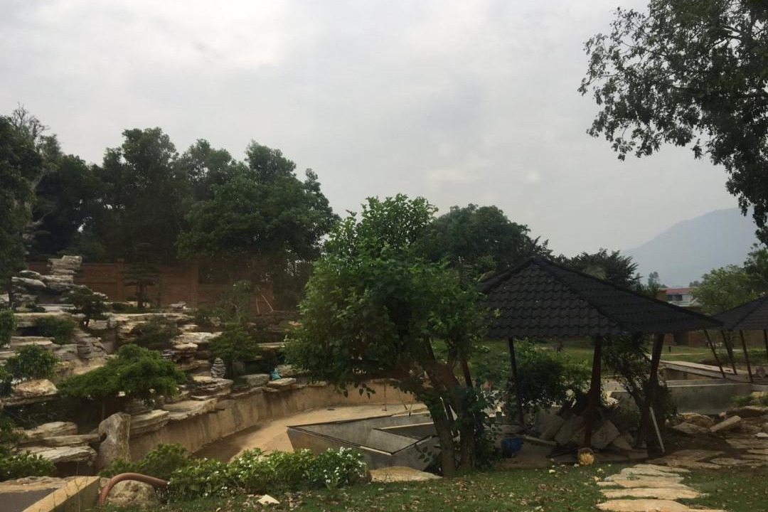 Photo of Others in Quoc Oai