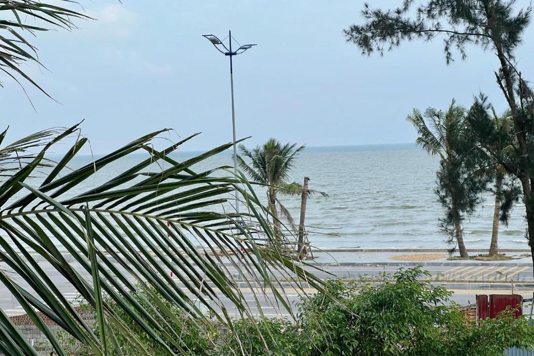 Photo of Others in Hoang Hoa