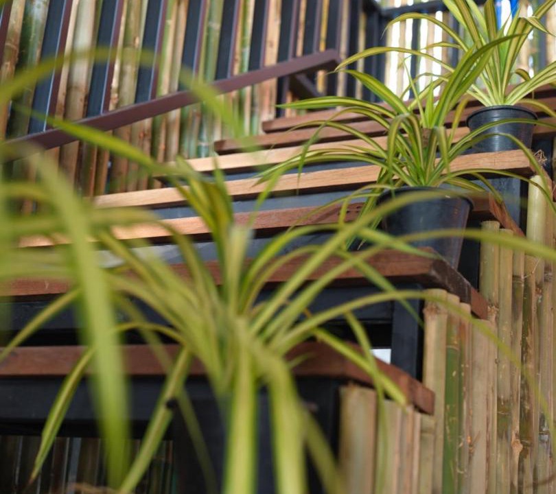 Photo of Patio Balcony in Bai Lan