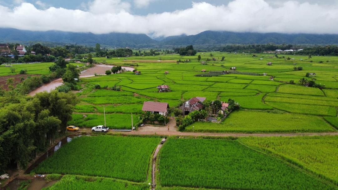 Photo of Others in Chiang Klang