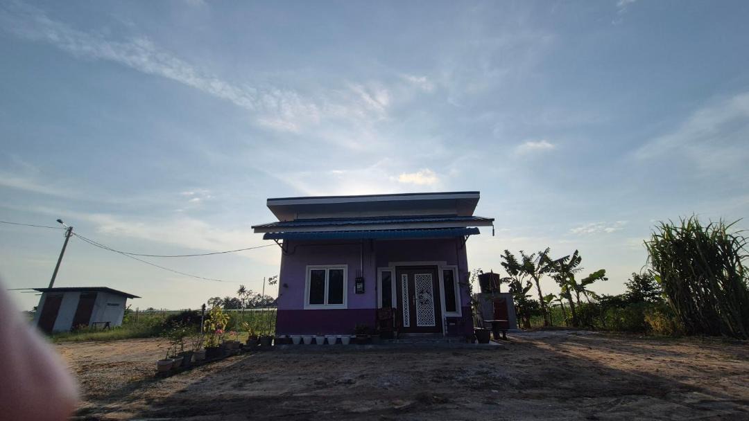 Photo of Others in Sekinchan