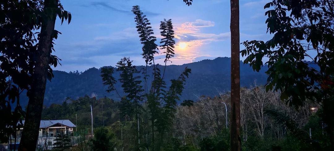 Photo of Others in Kuala Tahan