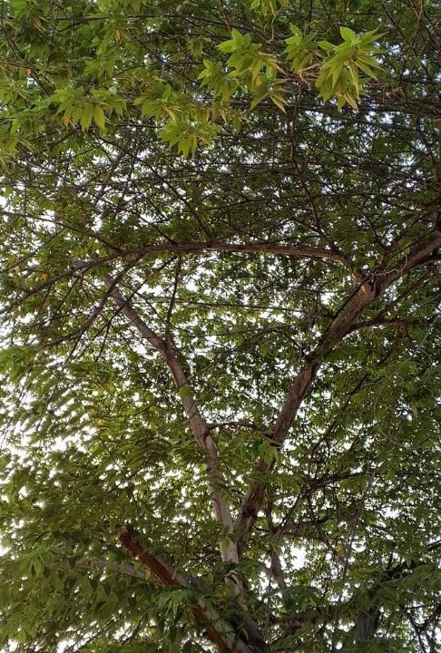 Photo of Outdoor in Sen Sok