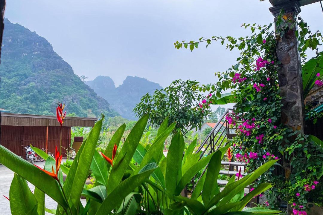 Photo of Others in Hoa Lu