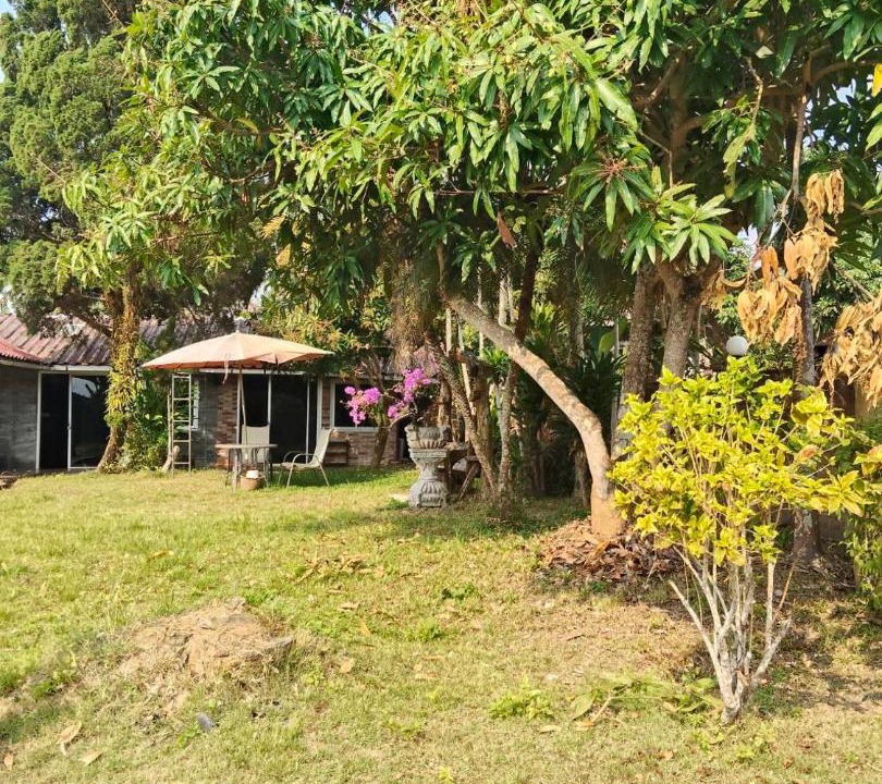 Photo of Others in Mae Ai