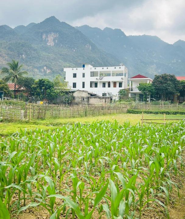 Photo of Others in Chieng Chau
