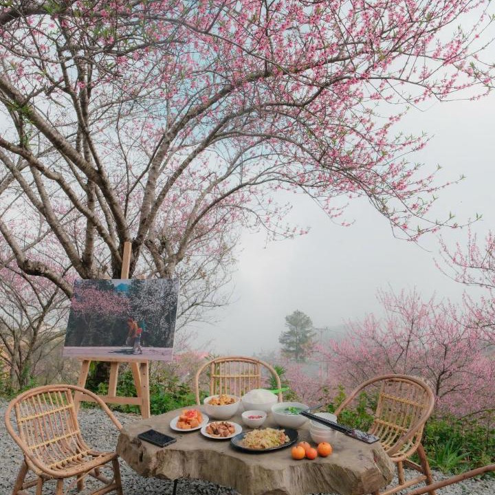 Photo of Others in Bac Yen