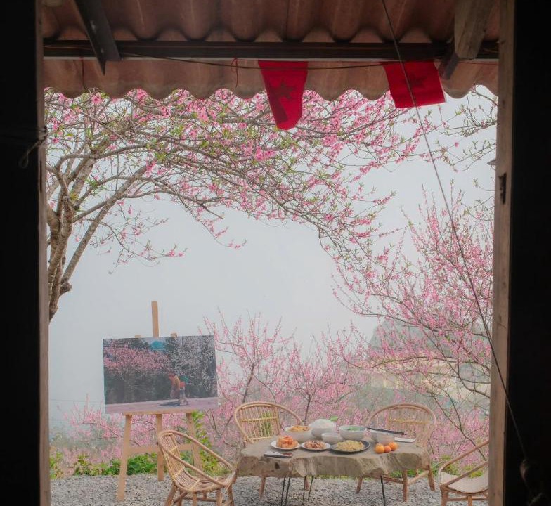 Photo of Others in Bac Yen