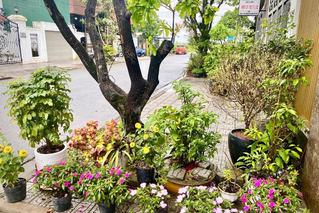 Photo of Others in Hue